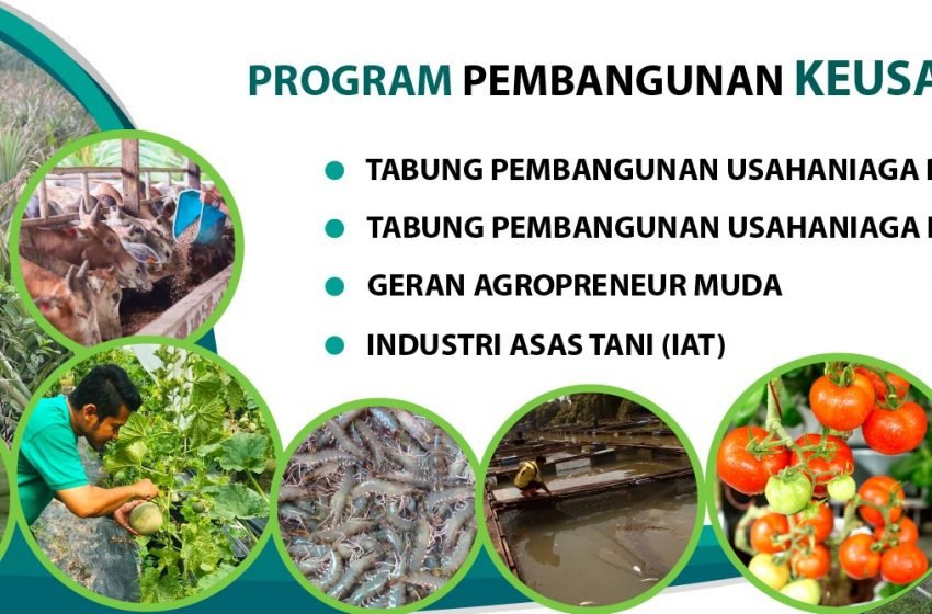  Program Pembangunan Keusahawanan LPP